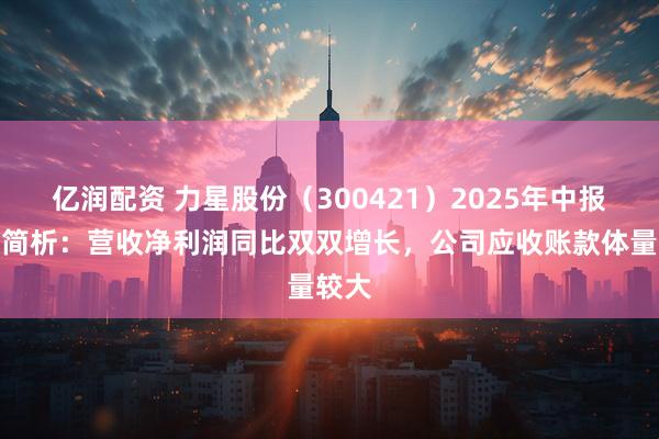 亿润配资 力星股份（300421）2025年中报财务简析：营收净利润同比双双增长，公司应收账款体量较大
