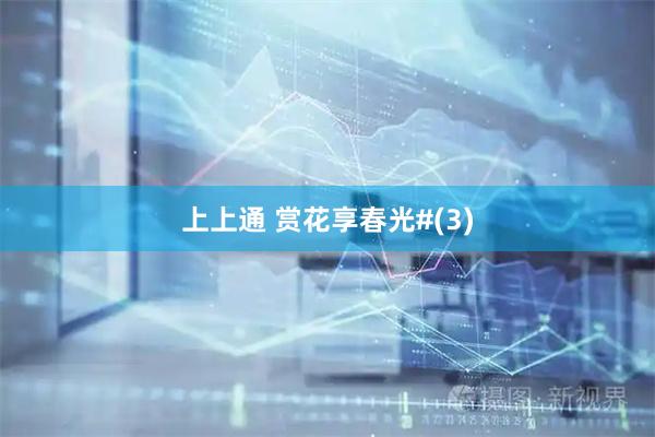 上上通 赏花享春光#(3)