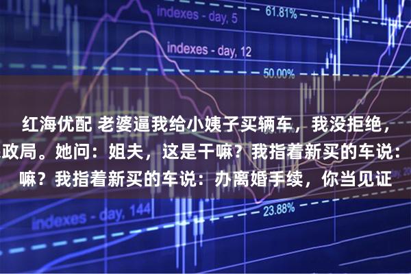 红海优配 老婆逼我给小姨子买辆车，我没拒绝，第二天带小姨子去了民政局。她问：姐夫，这是干嘛？我指着新买的车说：办离婚手续，你当见证