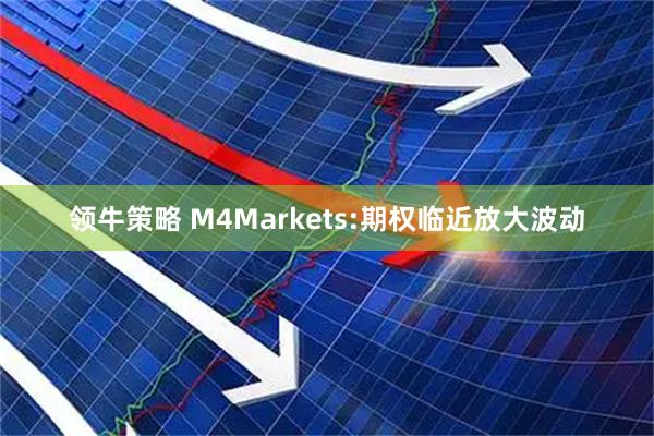领牛策略 M4Markets:期权临近放大波动