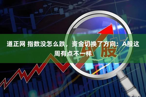 道正网 指数没怎么跌，资金切换了方向：A股这周有点不一样