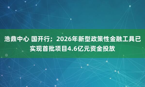 浩鼎中心 国开行：2026年新型政策性金融工具已实现首批项目4.6亿元资金投放